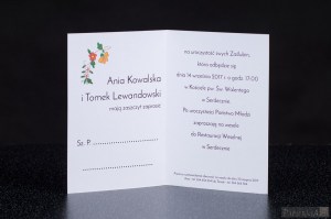 Zdjęcie poglądowe